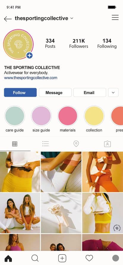 Instagram Professional Bio